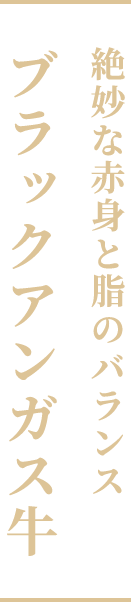 絶妙な赤身と脂のバランスブラックアンガス牛