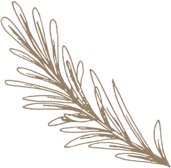 deco